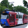 Yarra Trams - The Royal Tram